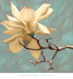 Magnolia II Print by Diane Hoeptner Magnolia II Print by Diane Hoeptner