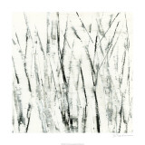 Birches I Limited Edition by Sharon Gordon