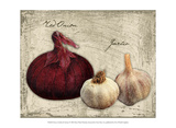 Fresco Garlic & Onions Prints by Kate Ward Thacker