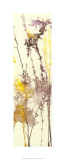 Liquid Light I Limited Edition by Jennifer Goldberger