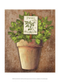 Potted Herbs III Print by Kate Ward Thacker