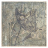 Ethereal Wings V Poster von Jennifer Goldberger