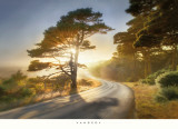Too Much To Ask Poster von William Vanscoy