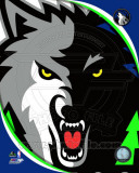 Minnesota Timberwolves - Minnesota Timberwolves Team Logo Photo