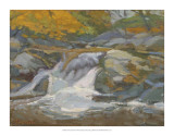 Trout Stream Prints by Stephen Calcasola