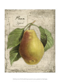 Fresco Fruit I Print by Kate Ward Thacker