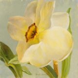 Daffodil Sky II Posters by Lanie Loreth Daffodil Sky II Posters by Lanie Loreth
