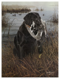 A Friend in the Marsh Posters by Kevin Daniel