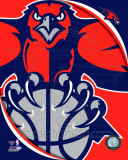 Atlanta Hawks - Atlanta Hawks Team Logo Photographie