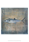 Ocean Fish III Prints