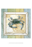 Sea Treasures VII Art