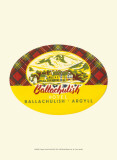 Vintage Travel Label III Affiches