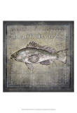 Ocean Fish II Póster