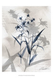 Indigo Bloom IV Prints by John Butler