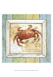 Sea Treasures VIII Posters