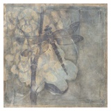 Ethereal Wings III Láminas por Jennifer Goldberger Ethereal Wings III Láminas por Jennifer Goldberger