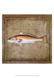 Ocean Fish IX Arte