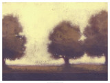 Calm Meadow I Láminas por Norman Wyatt Jr.