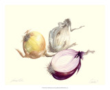 Onion Prints by James Linton Sain