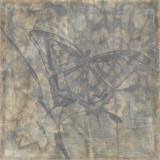 Ethereal Wings VI Kunstdrucke von Jennifer Goldberger