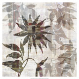 Wallflower II Affiches par James Burghardt