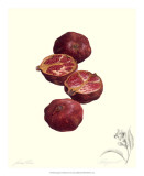 Pomegranate Prints by James Linton Sain