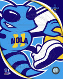New Orleans Hornets - New Orleans Hornets Team Logo Photo