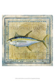 Ocean Fish XII Póster