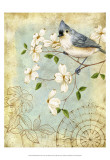 Songbird Sketchbook IV Prints by Jane Maday