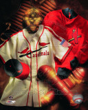 St.Louis Cardinals - St. Louis Cardinals Cooperstown Collage Photo St.Louis Cardinals - St. Louis Cardinals Cooperstown Collage Photo