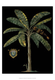 Palm & Crest on Black II Poster