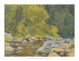 Chesterfield Gorge Posters par Stephen Calcasola