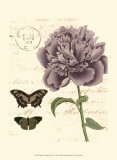 Small Vintage Floral IV Posters