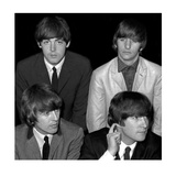 Beatles Limited Edition by George Shuba