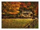 Autumn at the Mill Prints by Danny Head