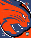 Charlotte Bobcats - Charlotte Bobcats Team Logo Photo
