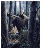 King of the Northwoods Art by Kevin Daniel
