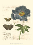 Small Vintage Floral I Prints