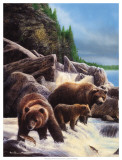 Grizzlies by Falls Reprodukcje autor Kevin Daniel Grizzlies by Falls Reprodukcje autor Kevin Daniel