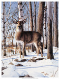 Simply Curious I Affiches par Kevin Daniel