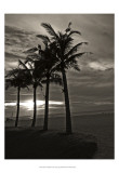 Palms at Night III Art by Tang Ling