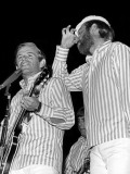 Beach Boys, The Edición limitada por George Shuba