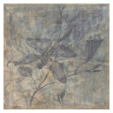 Ethereal Wings I Láminas por Jennifer Goldberger Ethereal Wings I Láminas por Jennifer Goldberger