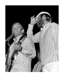 Beach Boys Limited Edition by George Shuba