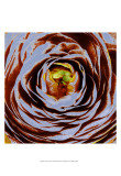 Lavinia II Pósters por Danielle Harrington Lavinia II Pósters por Danielle Harrington