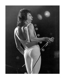 Freddie Mercury Limited Edition by George Shuba