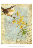 Songbird Sketchbook I Poster by Jane Maday