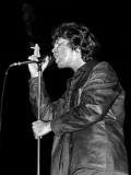 Jim Morrison Edición limitada por George Shuba