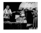 Tiffany Shade Limitierte Auflage von George Shuba