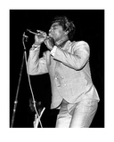 James Brown Edition limitée par George Shuba
